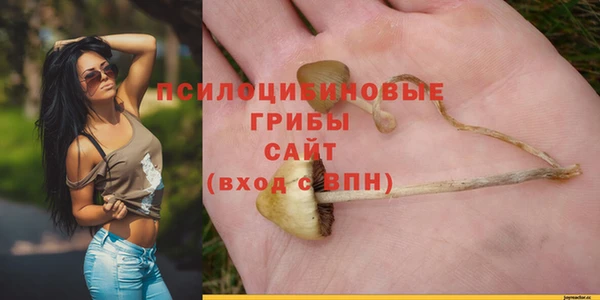 сатива Абаза