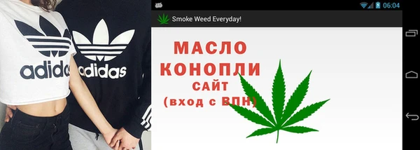 сатива Абаза