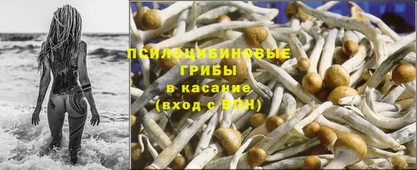 spice Алзамай
