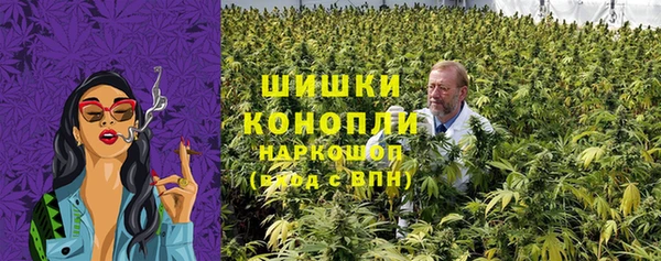 spice Алзамай