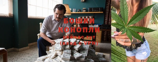 сатива Абаза